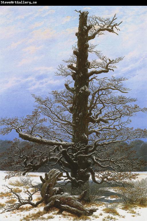 Caspar David Friedrich Oak Tree in the Snow (mk10)